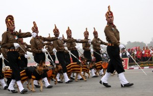 Army Dog Contingent 