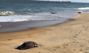 Garuda Aerospace Steps Up to Protect Olive Ridley Turtles with Free Drone Technology